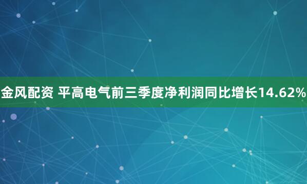 金风配资 平高电气前三季度净利润同比增长14.62%