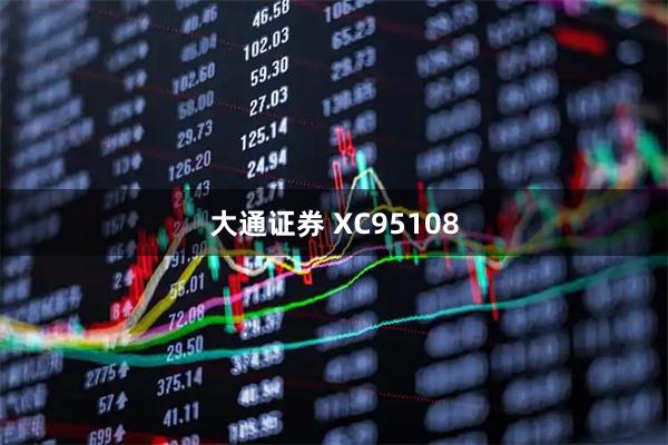 大通证券 XC95108