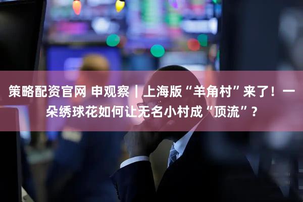 策略配资官网 申观察｜上海版“羊角村”来了！一朵绣球花如何让无名小村成“顶流”？