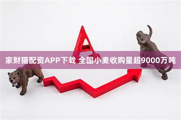 家财猫配资APP下载 全国小麦收购量超9000万吨